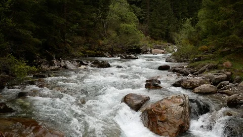 The water coming from the river Video stock 100246912