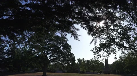 Water conservation in park Video stock 51435219
