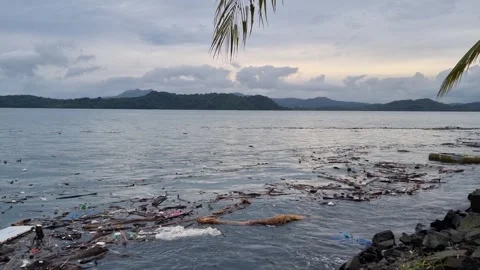 Water contaminated with garbage and waste, water pollution. Stock Footage 341899021