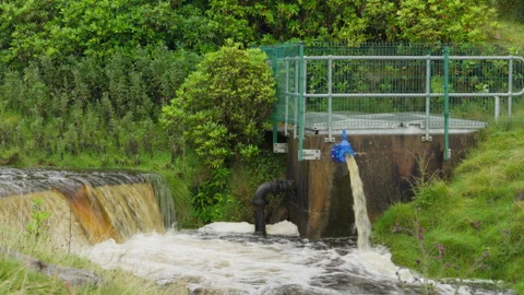 Water Control Weir and Outlet Regulating Stream Flow in Rural Ireland Stock Footage 345424371