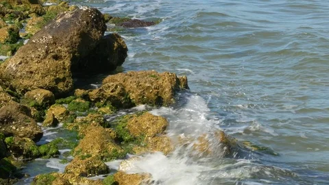 Water Crashing into Algae-Covered Rocks on Shore, 4K Stock Footage 70811447