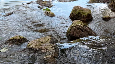 WATER CREEK Stock Footage 44825444