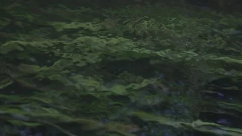 Water Creek Stock Footage 155113394