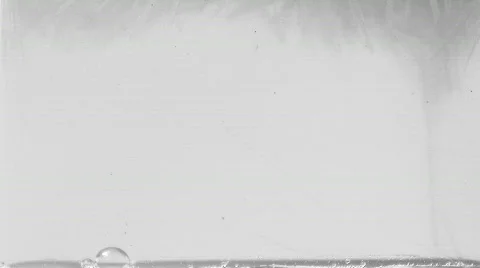 Water Crystallization  Video stock 285455