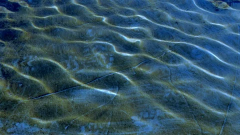 Water curled by the wind in a pond. Stock Footage 101727508