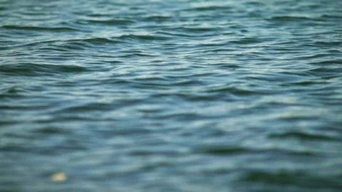 Water current Video stock 88404423