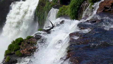 Water currents flowing from a rocky edge Iguazu Falls Stock Footage 336203200