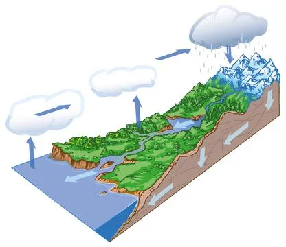 Water cycle diagram Stock Illustration