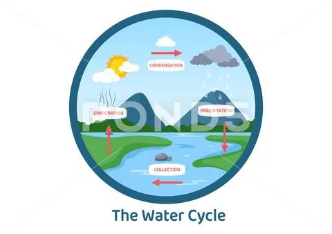 Water Cycle - Process and its Various Stages