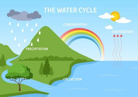 Water Cycle of Evaporation, Condensation, Precipitation to Collection in Eart Stock Illustration