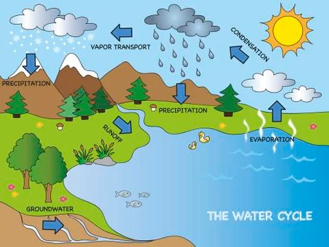 Water cycle Stock Illustration