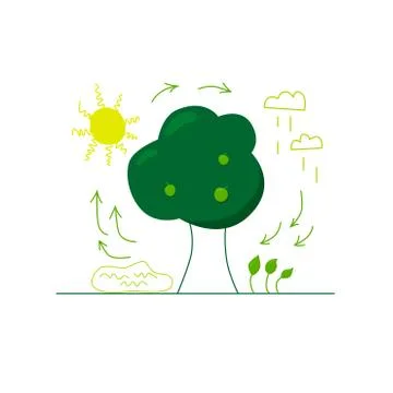 Water cycle illustration. Vector stock flat illustration isolated on white Stock Illustration