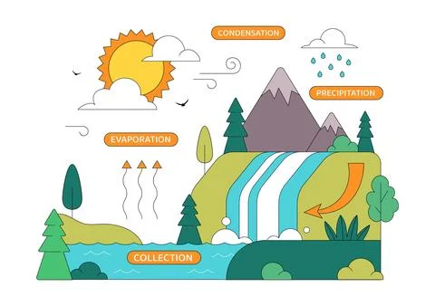Water Cycle Vector Illustration Featuring Evaporation, Condensation, Precip.. Stock Illustration