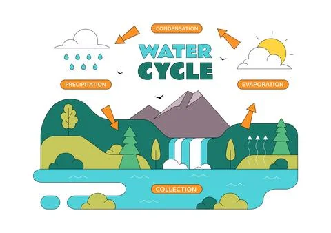 Water Cycle Vector Illustration Featuring Evaporation, Condensation, Precip.. Stock Illustration