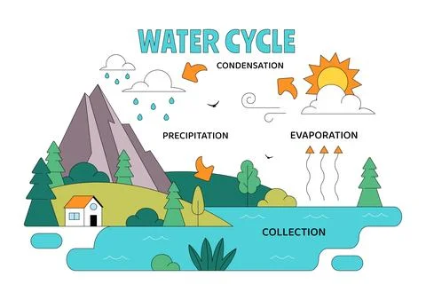 Water Cycle Vector Illustration Featuring Evaporation, Condensation, Precip.. Stock Illustration