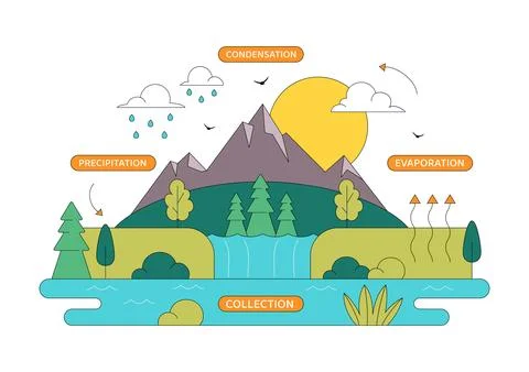 Water Cycle Vector Illustration Featuring Evaporation, Condensation, Precip.. Stock Illustration