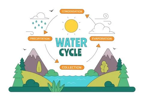 Water Cycle Vector Illustration Featuring Evaporation, Condensation, Precip.. Stock Illustration