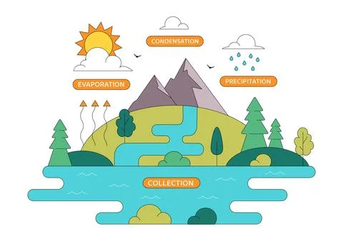 Water Cycle Vector Illustration Featuring Evaporation, Condensation, Precip.. Stock Illustration