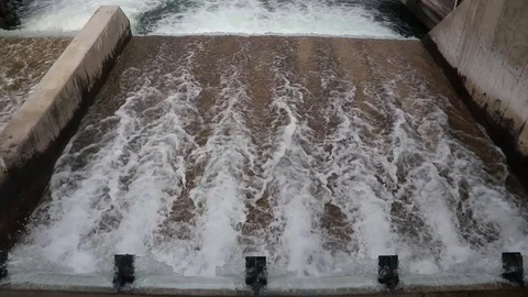 Water dam with a fish swimming up Stock Footage 97984694