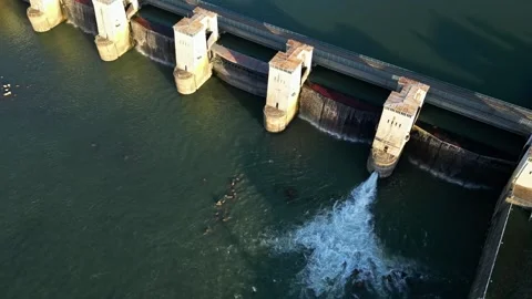 Water dam on the Rhone River and water filtration treatment plants. Stock Footage 295002853