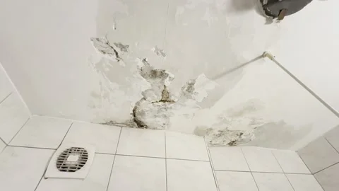 Water Damage and Mold on Bathroom Ceiling Stock Footage 344463983
