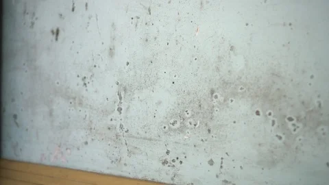 Water damage causing mold growth on the interior walls of a property Stock Footage 100407070