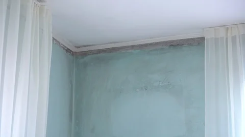 Water damage causing mold growth on the interior walls of a property Stock Footage 103837177