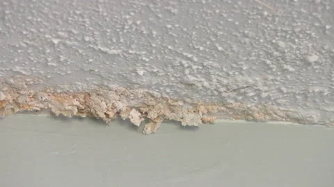 Water Leak Ceiling Stock Video Footage | Royalty Free Water Leak