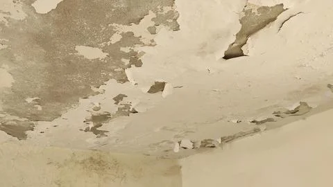 Water damage to a ceiling, characterized by paint peeling, bubbling, and flaking Stock Photos