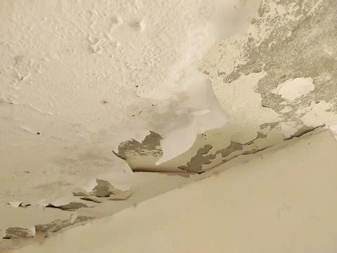 Water damage to a ceiling, characterized by paint peeling, bubbling, and flaking Stock Photos