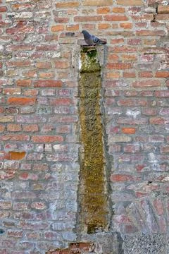 Water damage wall Stock Photos