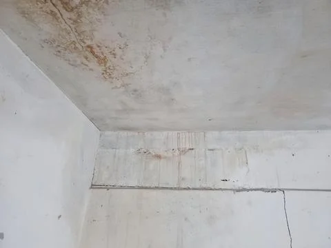 Water damaged ceiling and wall with crack and drip stains Photos