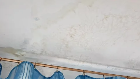 Water Damaged Ceiling with Mold Stains Above Blue Curtains in an Old Room Stock Footage 345475076