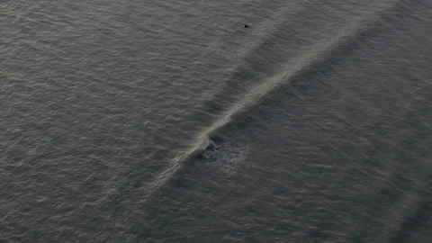 The water is dark and the sky is light blue Stock Footage 298283448