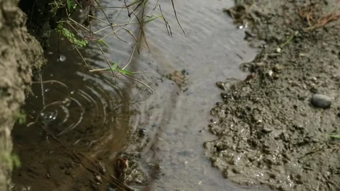 Water day 库存影片 335165286