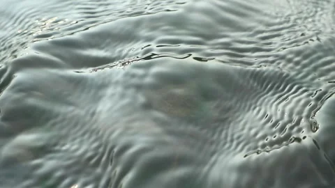 Water day 库存影片 336406517