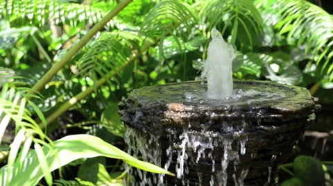 Water decoration in the garden Stock Footage 26318700