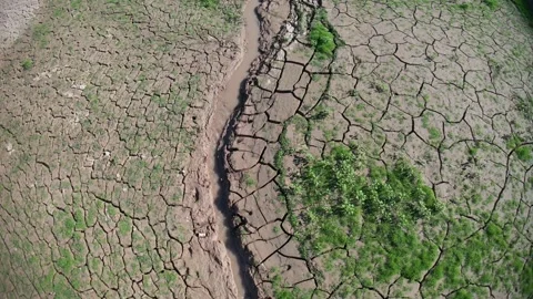 Water-deficient branch river Video stock 174206162