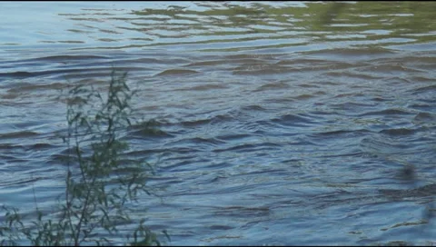 Water Desna River Video stock 39836771