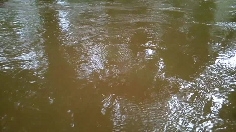 The water in a dirty brown stream flows slowly. Water in rain season. Stock Footage 203831803