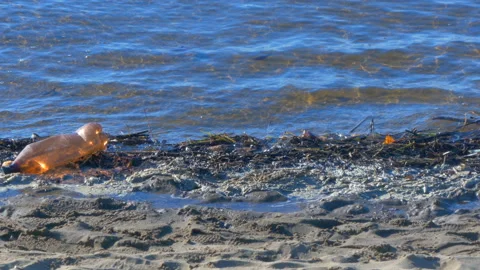 Water from dirty coast Stock Footage 91296492
