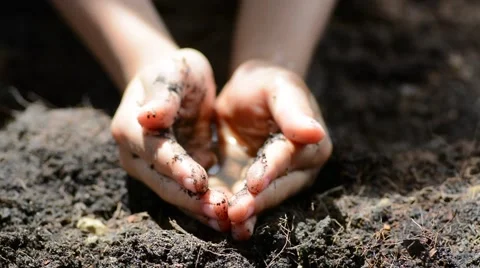 Water in dirty hand Stock Footage 51801901