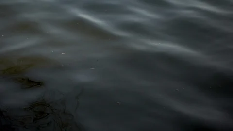 Water displacement ripples Video stock 87290897