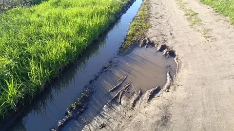Water in a ditch on the road in the forest. Traces of cars on the ground near 스톡 동영상 336183153
