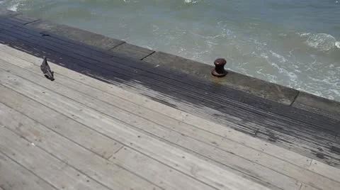Water on Docks Stock Footage 12111609