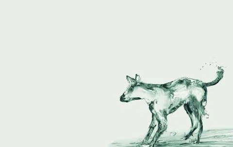 Water Dog Stock Illustration