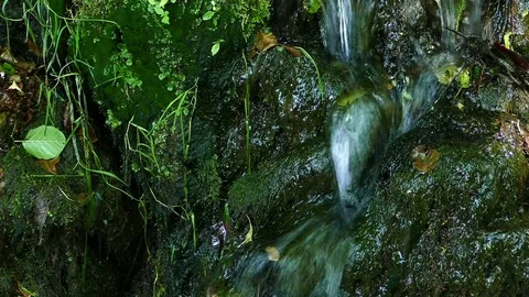 Water down the mountain, closeup, dolly shot Stock Footage 72760595
