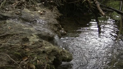 Water downfalling in a pond. Video stock 154890109