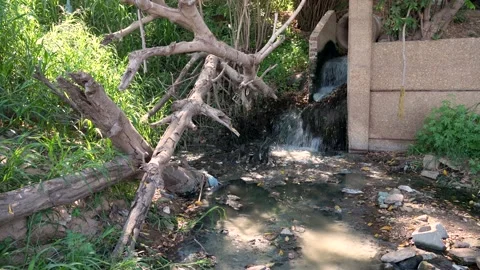 Water from drain pipe and plastic garbage flowing in city street. Pollution Stock Footage 232724675