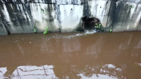 Water drainage system Stock Footage 145960817